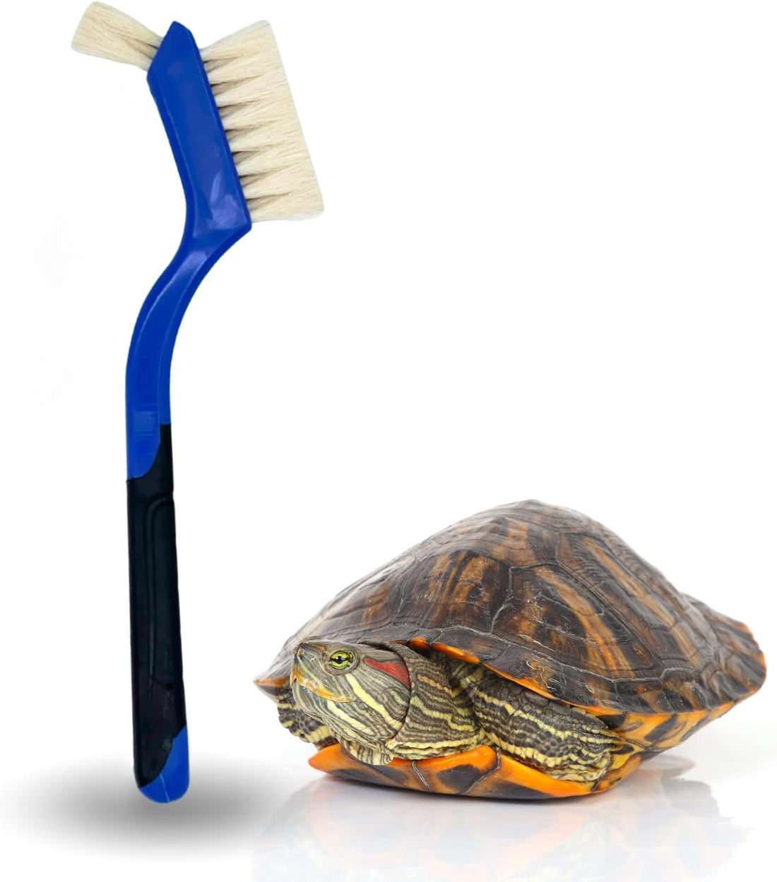 Turtle Cleaning Brush Remove Aquatic Mud, Dirt