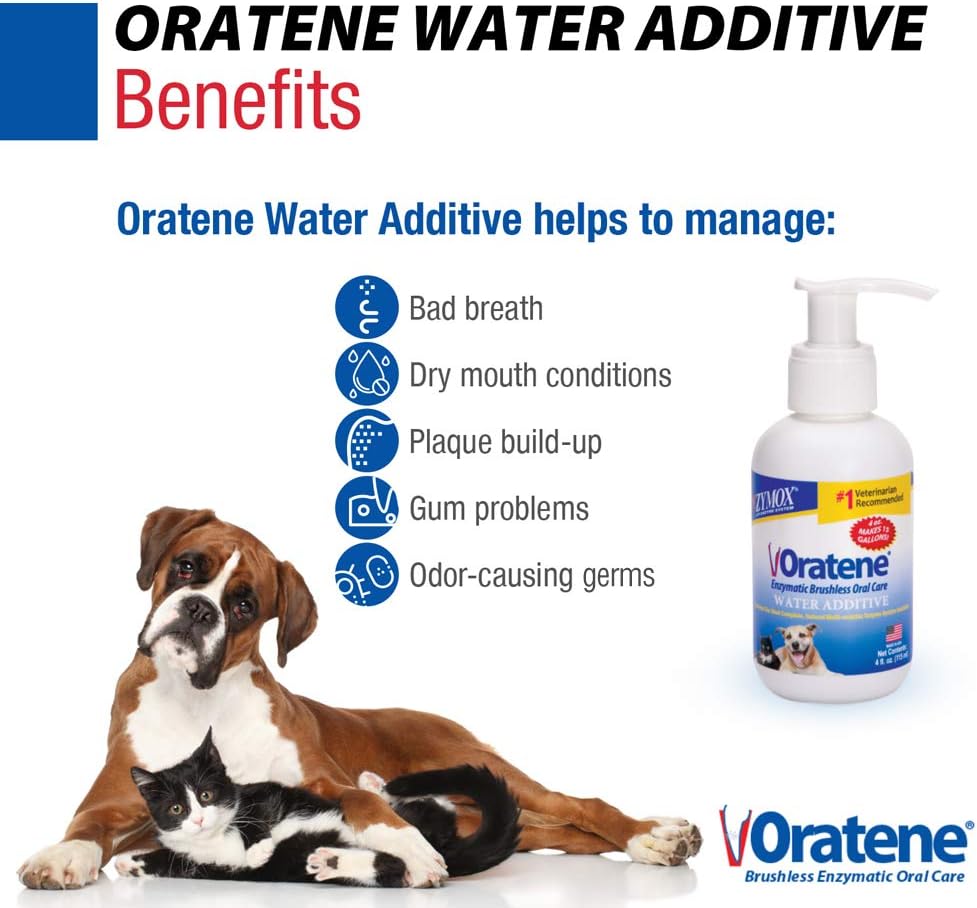 PET King Brands Zymox Oratene Water Additive Enzymatic Brushless Oral