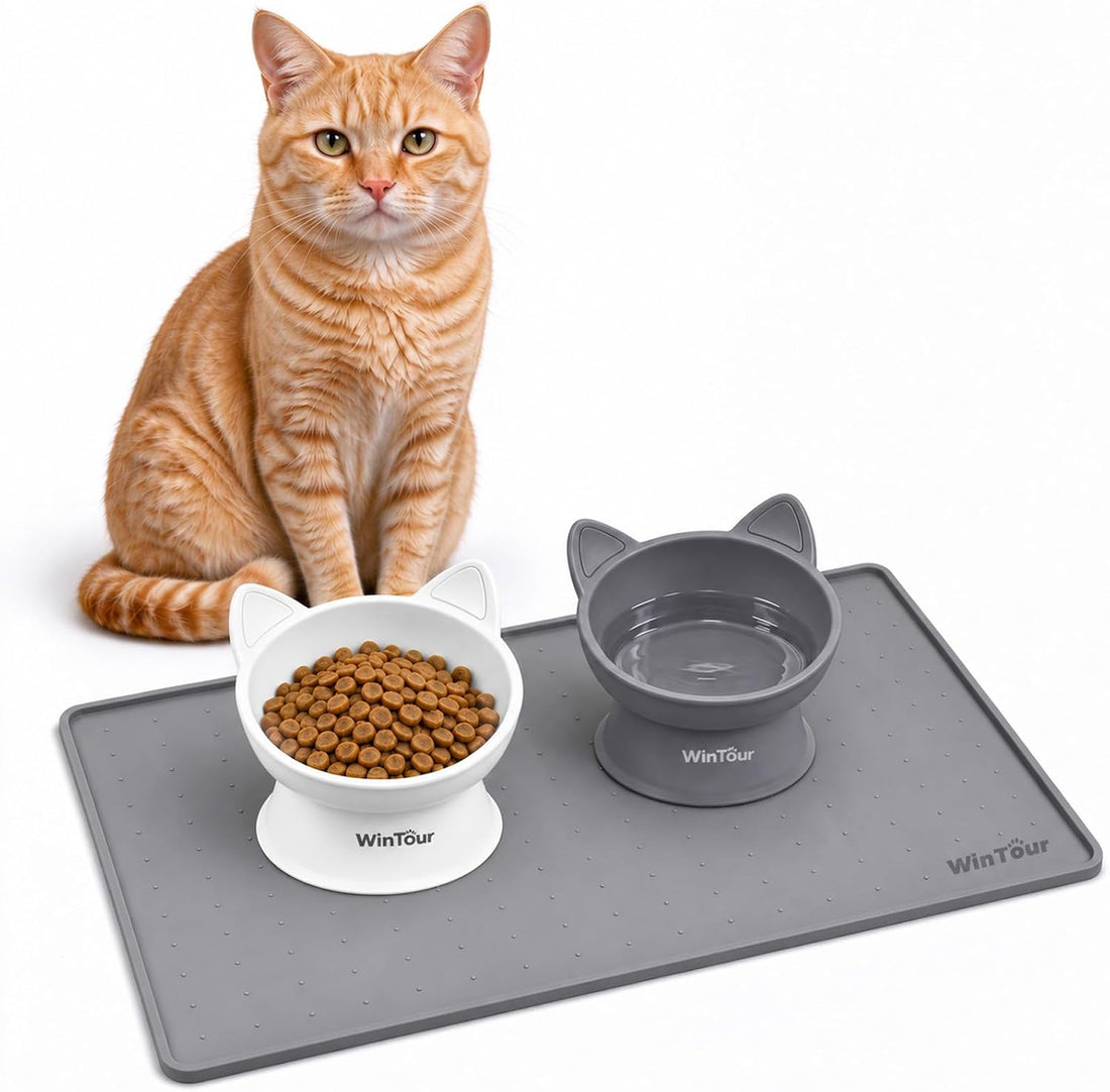 WinTour 2 Pack Elevated Cat Bowls with Food Mat