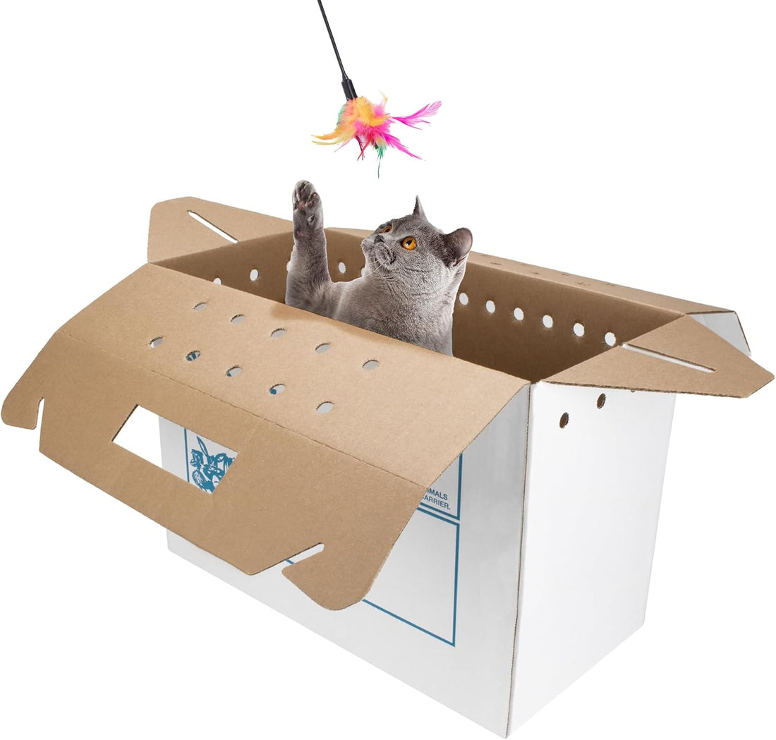 Disposable Cardboard Pet Carrier 12/Case