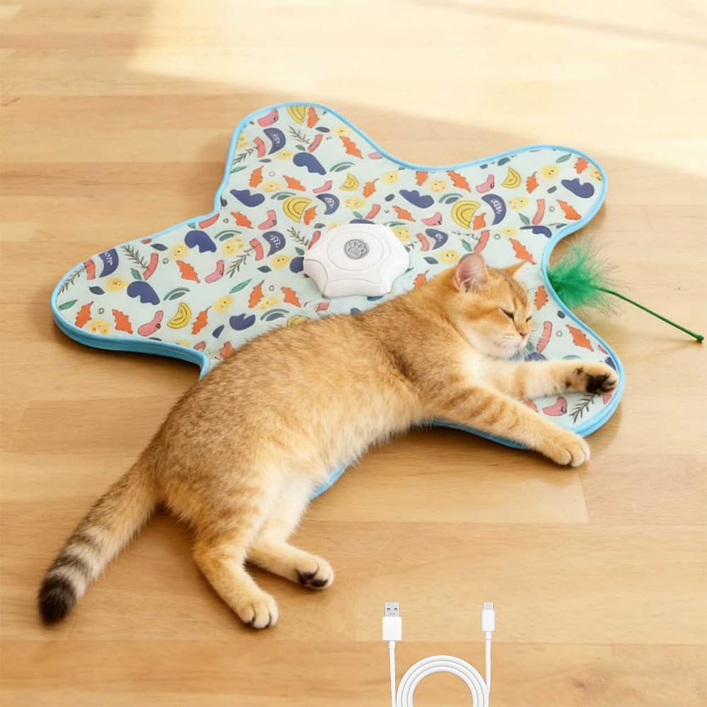 Rechargeable Automatic Cat Toy