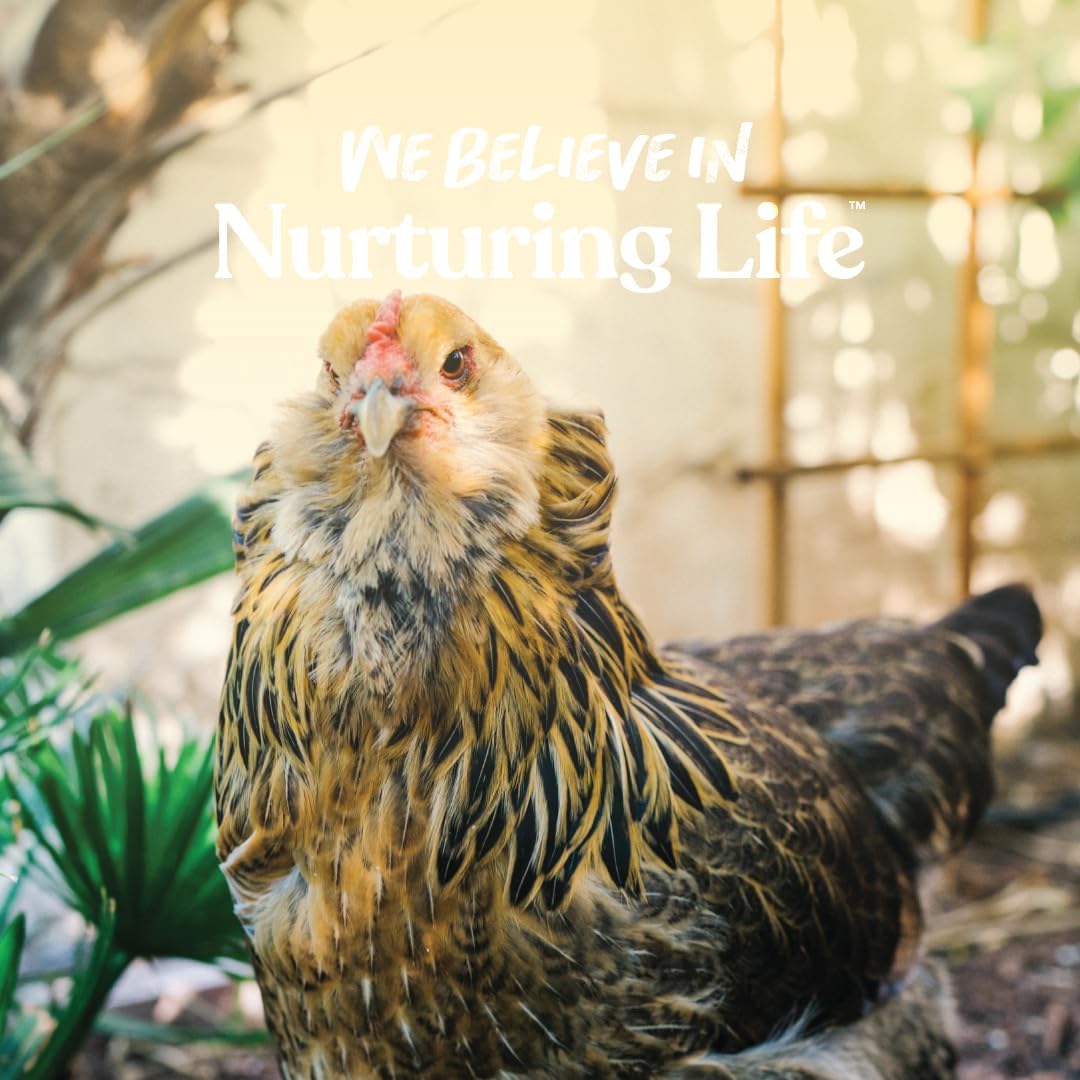 Manna Pro Layer Crumbles Chicken Feed, 16% Protein, Digestive Aid