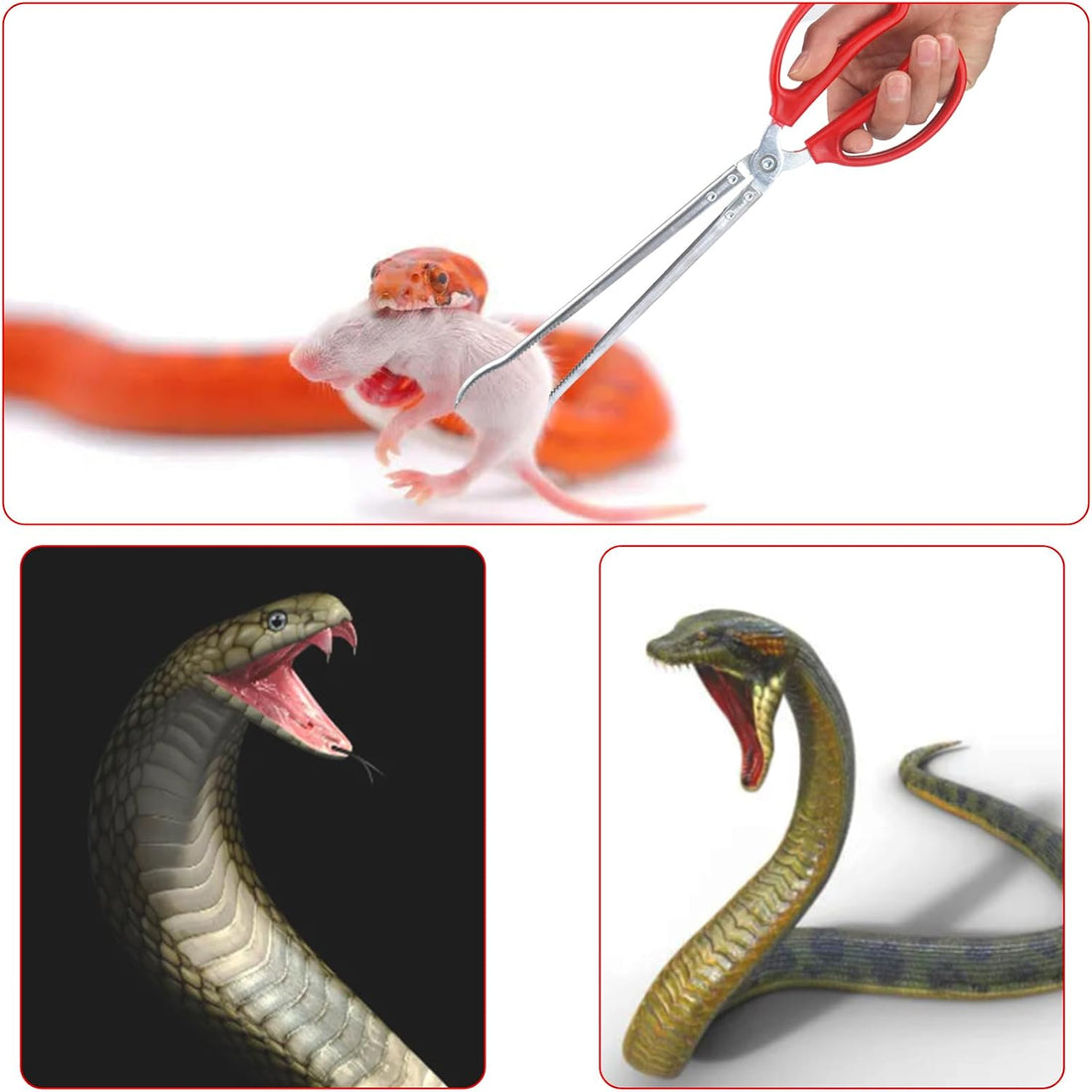15 Inch Reptile Feeding Tongs, Extra Long Large Snake Feeding Tweezers