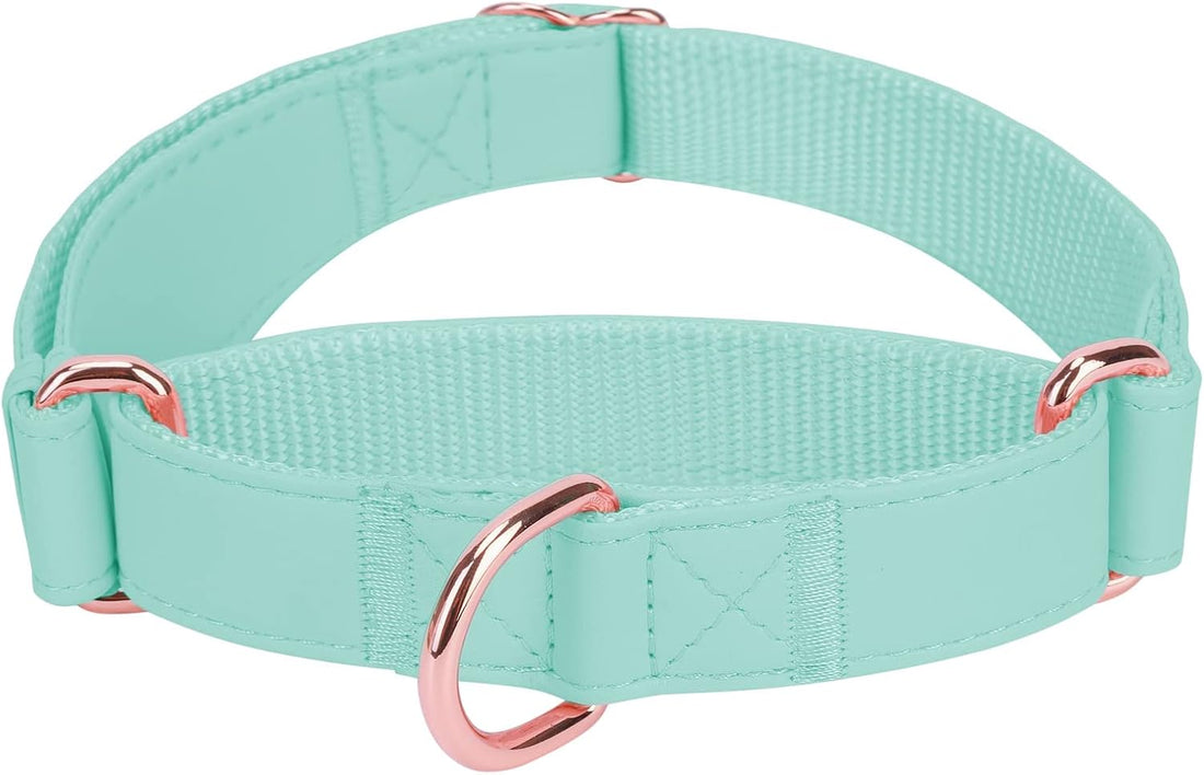 Soft Leather Martingale Dog Collar