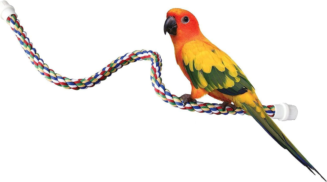 JW Pet Comfy Perch For Birds Flexible Multi-color Rope, Medium