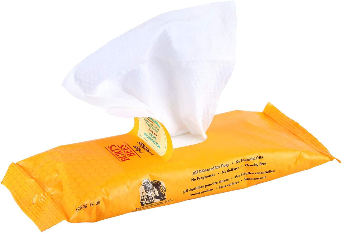 Burts Bees for Pets Honey Multipurpose Dog Grooming Wipes, 50 Count