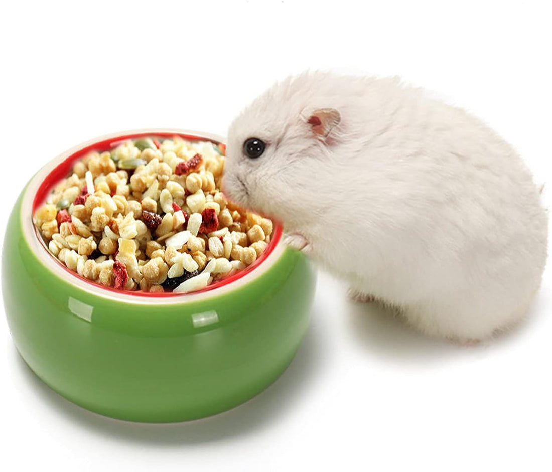 2 Pack Hamster Bowl Ceramic Prevent Chewing Feeding Bowl Water Food
