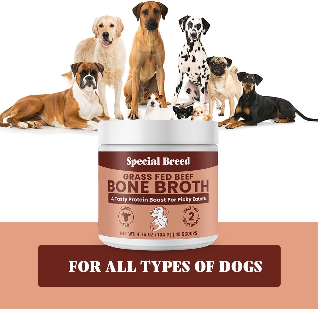 Bone Broth Powder for Dogs and Cats
