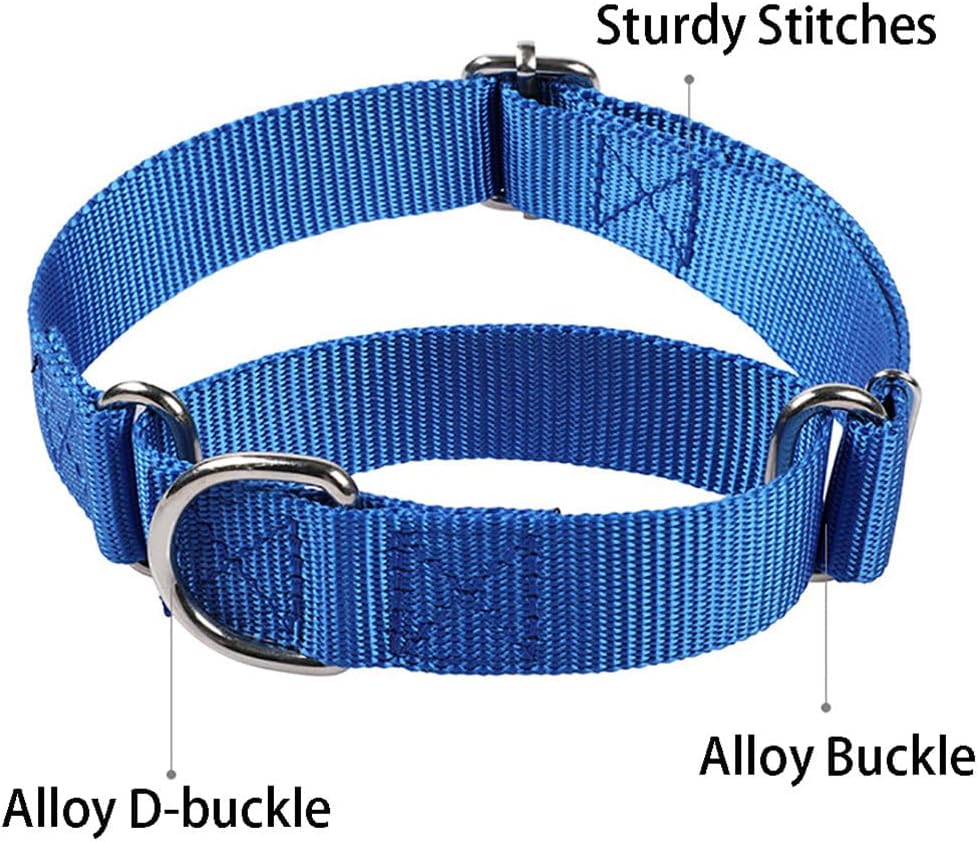 Martingale Dog Collars for Medium Dogs, No Pull Dog Choker Collar