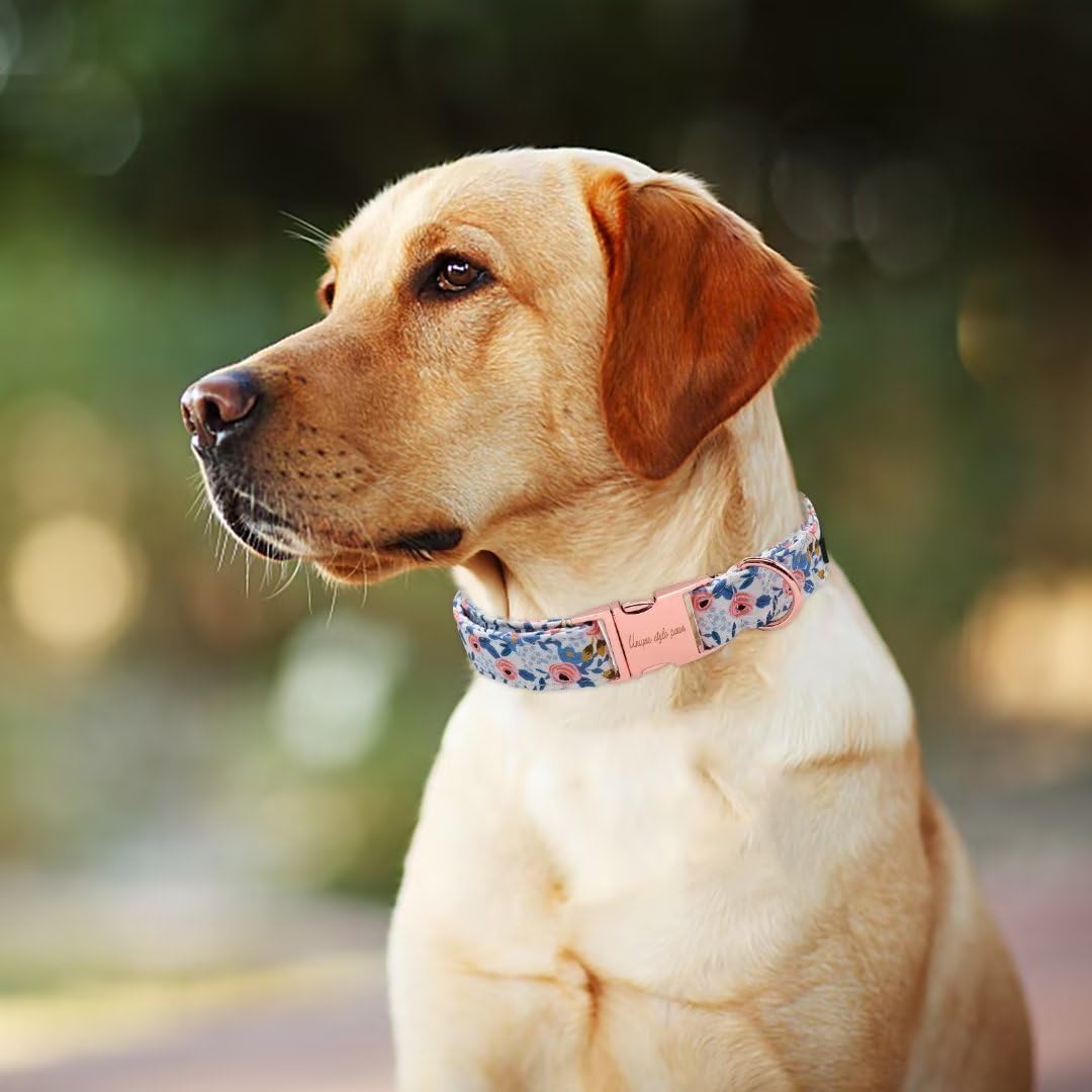 Unique Style Paws Dog Collar With Metal Buckle