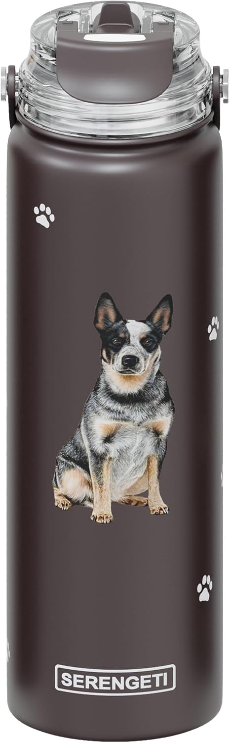 SERENGETI 24 Oz Water Bottle Stainless Steel with Spill Proof Lid