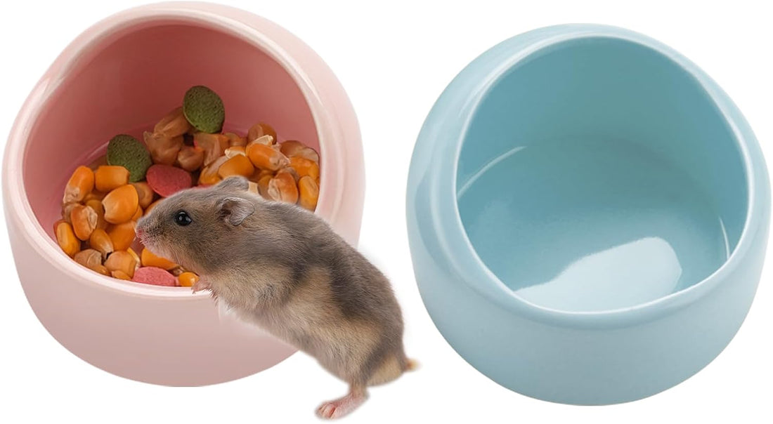 VanEnjoy 2 Pack Small Hamster Food Bowl Ceramic Guinea Pig Food Dish