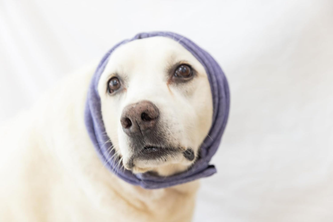 Dog Ear Muffs for Noise Protection Purple L
