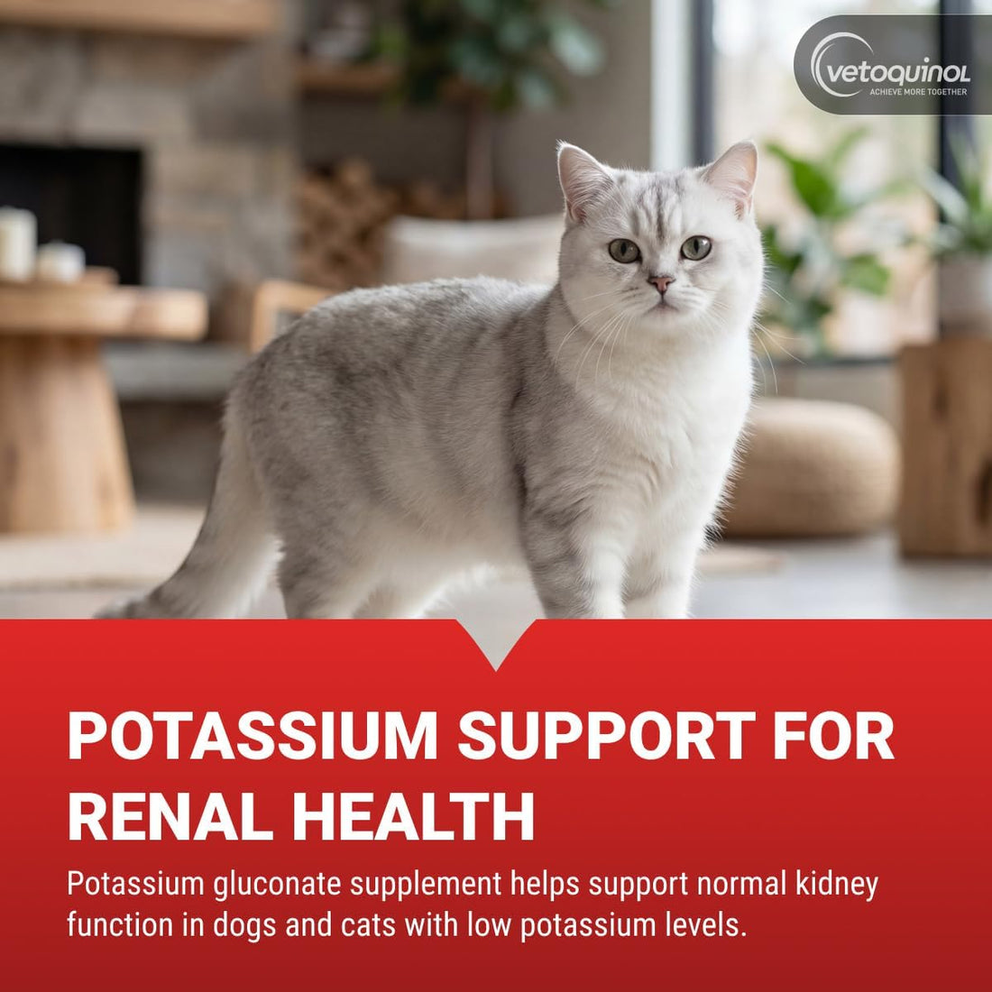 Vetoquinol Renal K+ Potassium Supplement Gel for Dogs and Cats, 5oz