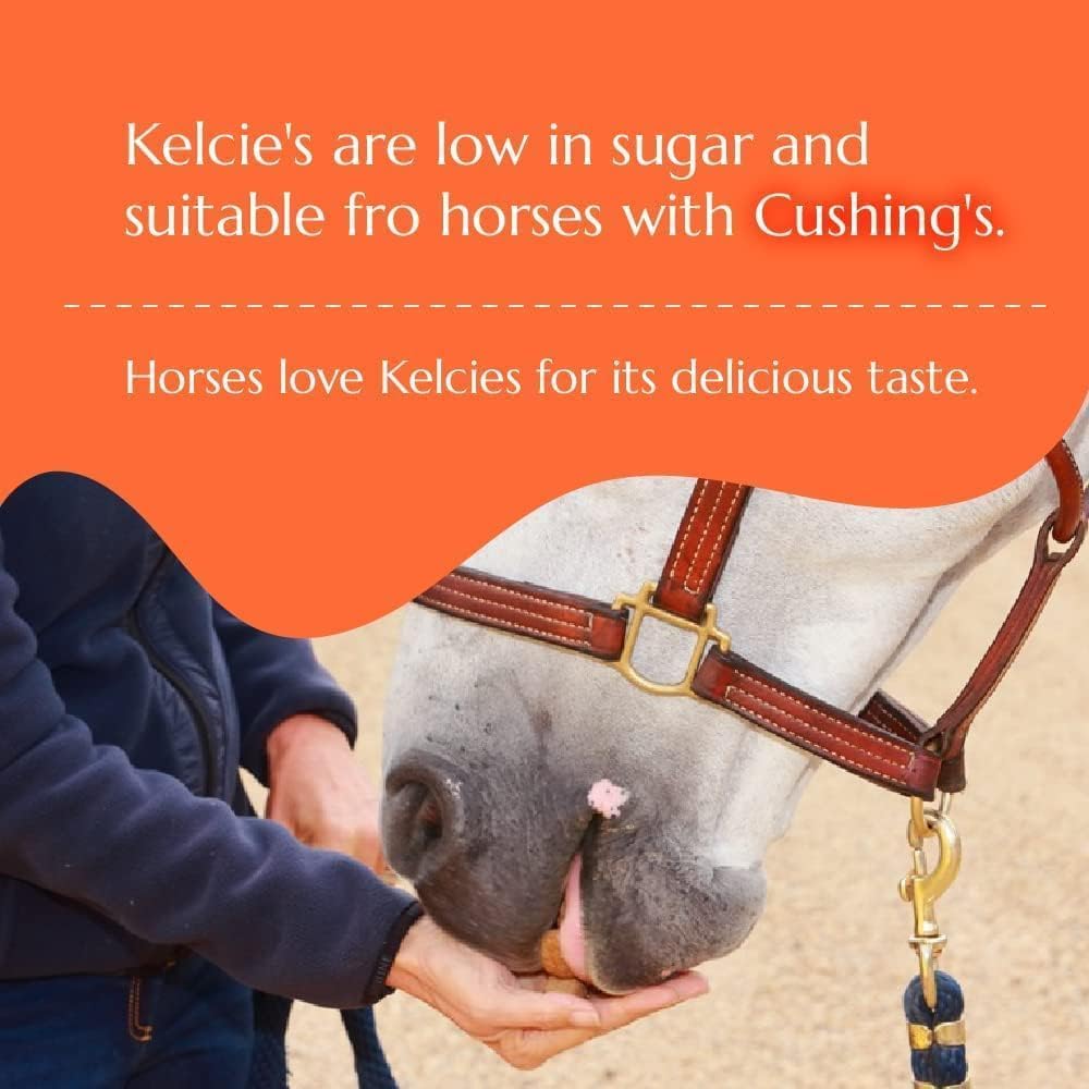 Kelcies Pumpkin Spice Horses Treats - Low Sugar, Starch