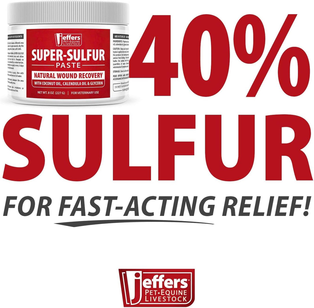 Jeffers Super Sulfur Natural Healing Paste for Dogs
