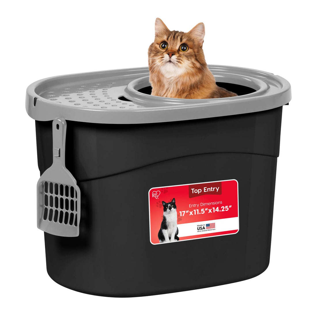 IRIS USA Cat Litter Box Large Top Entry with Lid Enclosed Covered