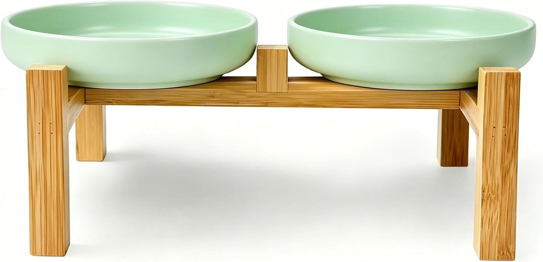 Ceramic Cat Bowls,Shallow Cat Dishes for Food and Water