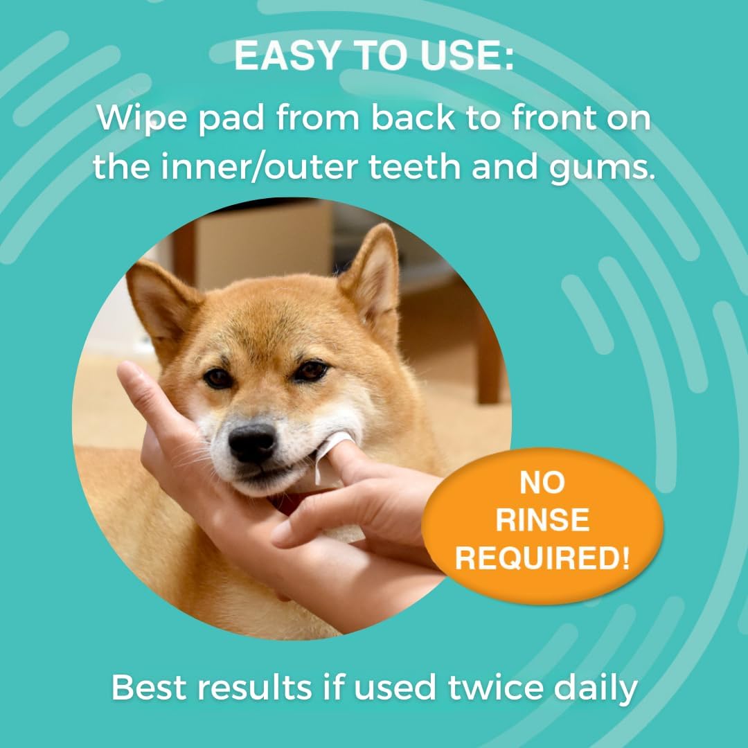 Nootie Medicated Dental for Dogs with Chlorhexidine