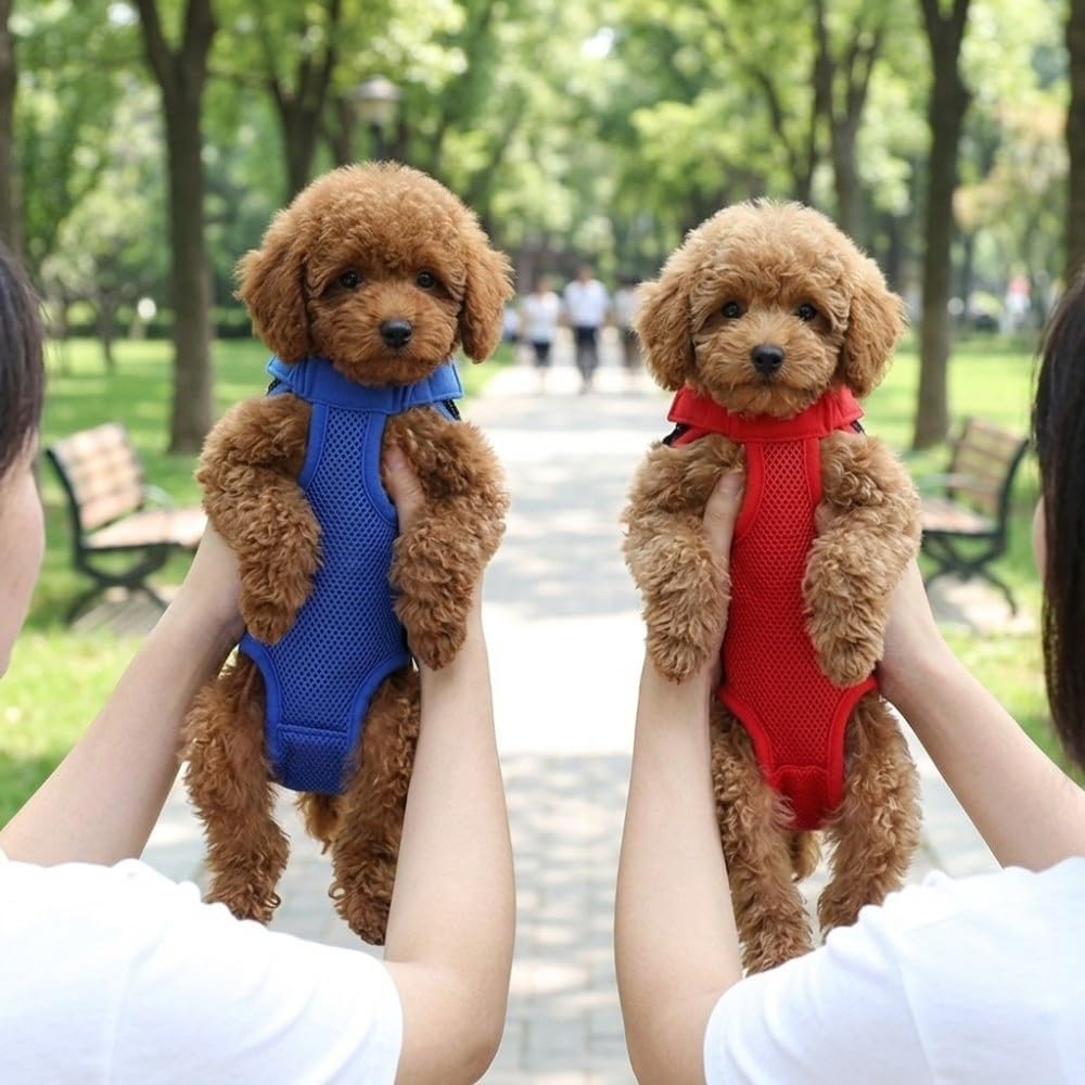 Pet Dog Front Carrier Backpack