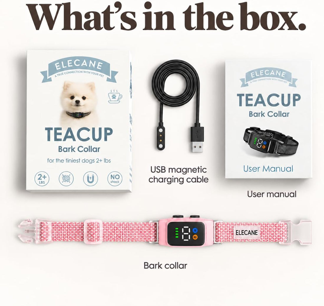 Teacup Bark Collar for Small Dogs 2-15lbs