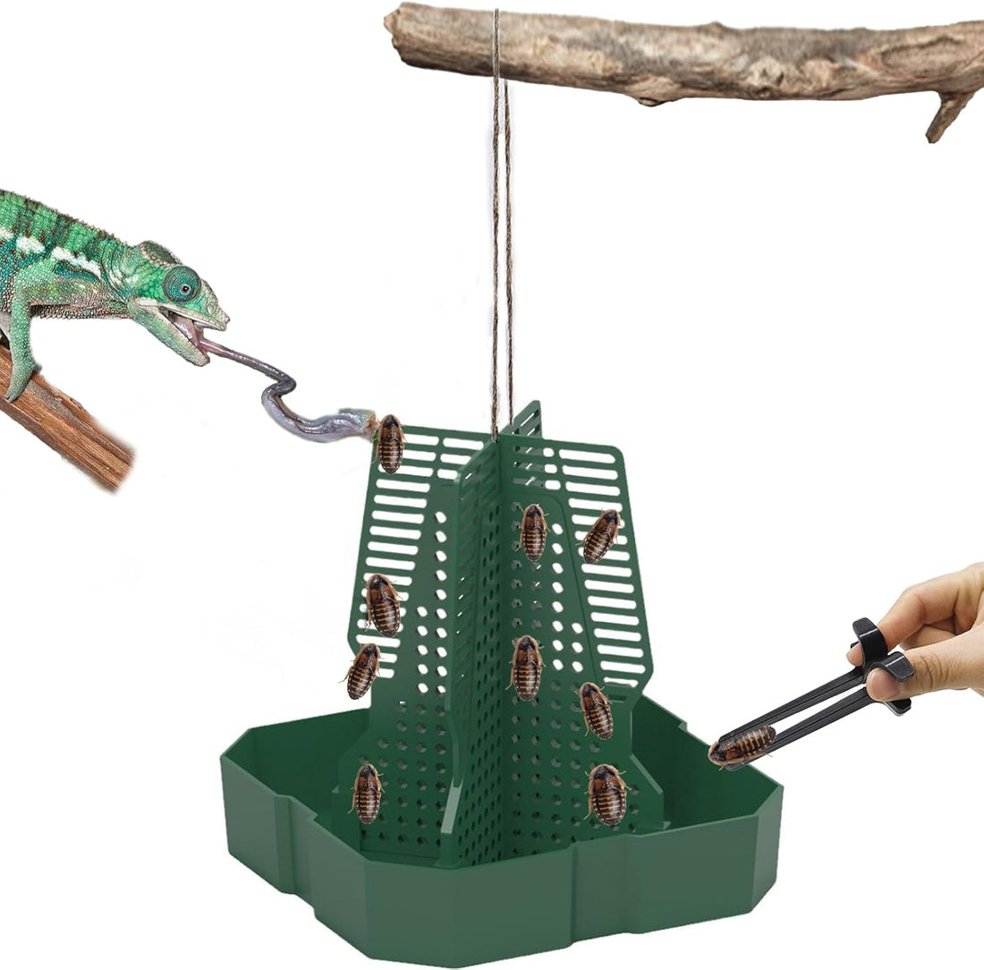 Chameleon Feeder Bearded Dragon Feeder for Mounted Insect(Medium)