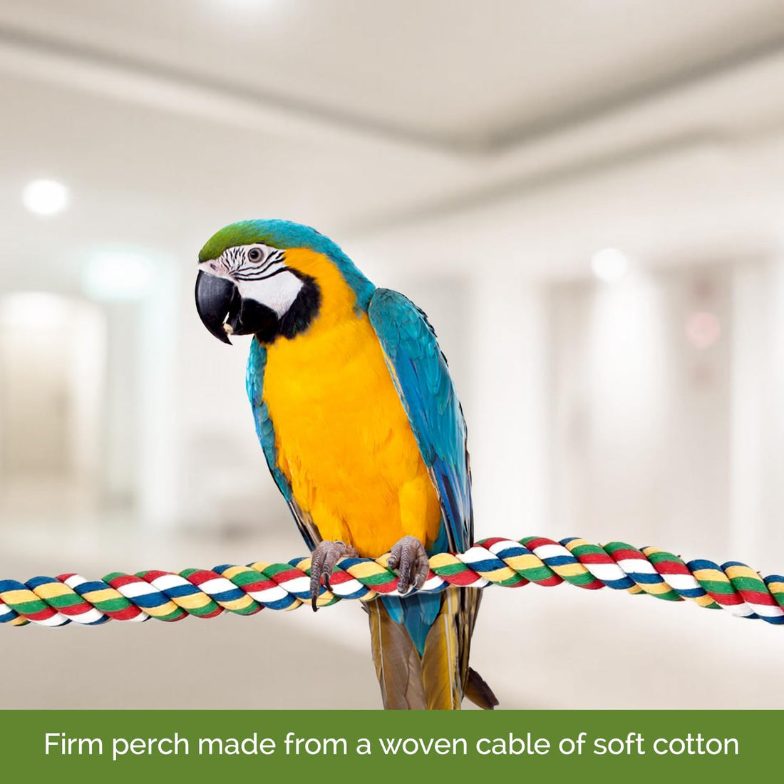 JW Pet Comfy Perch For Birds Flexible Multi-color Rope, Medium