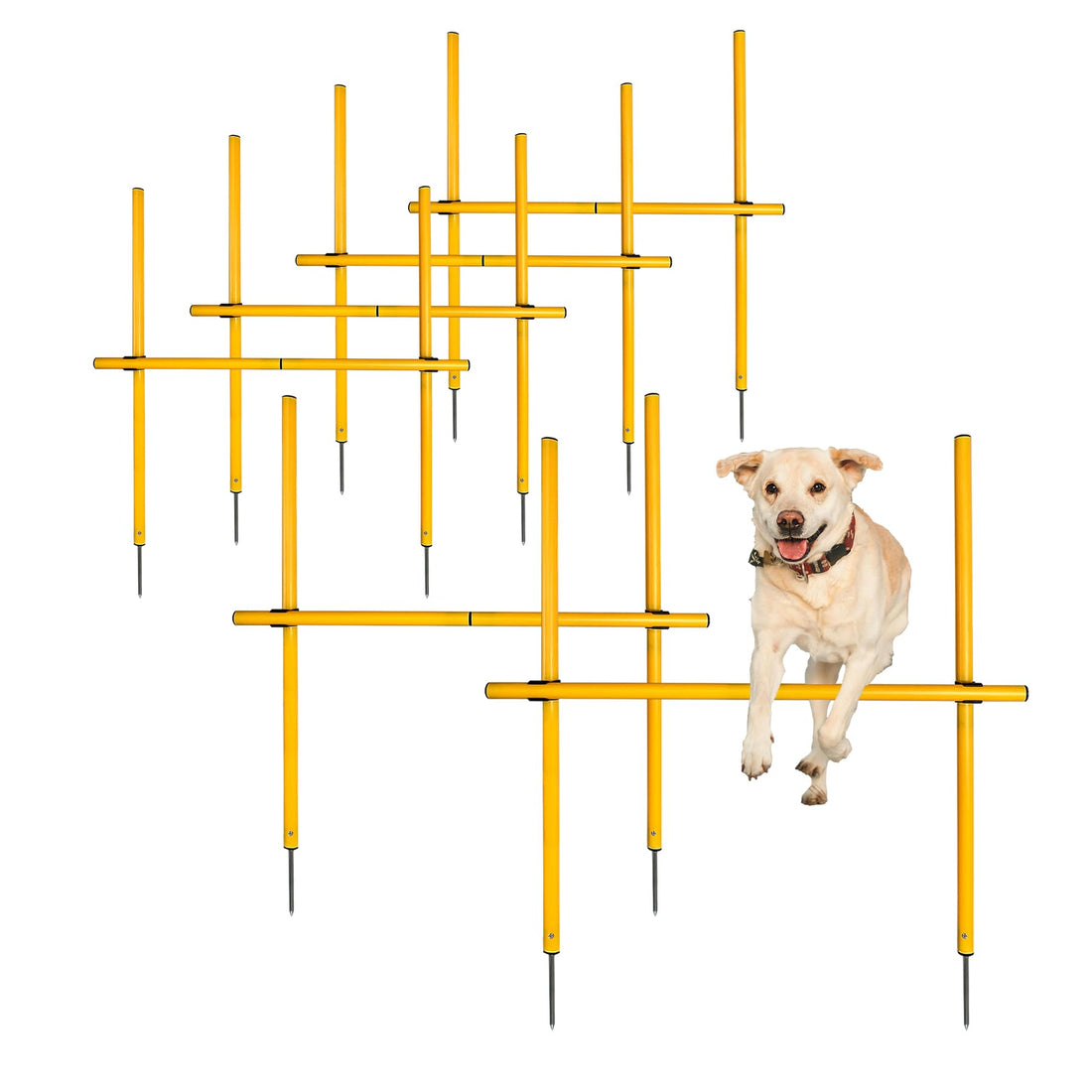 TNZMART 2.6 FT Dog Agility Obstacle Course Backyard Set Wave Poles