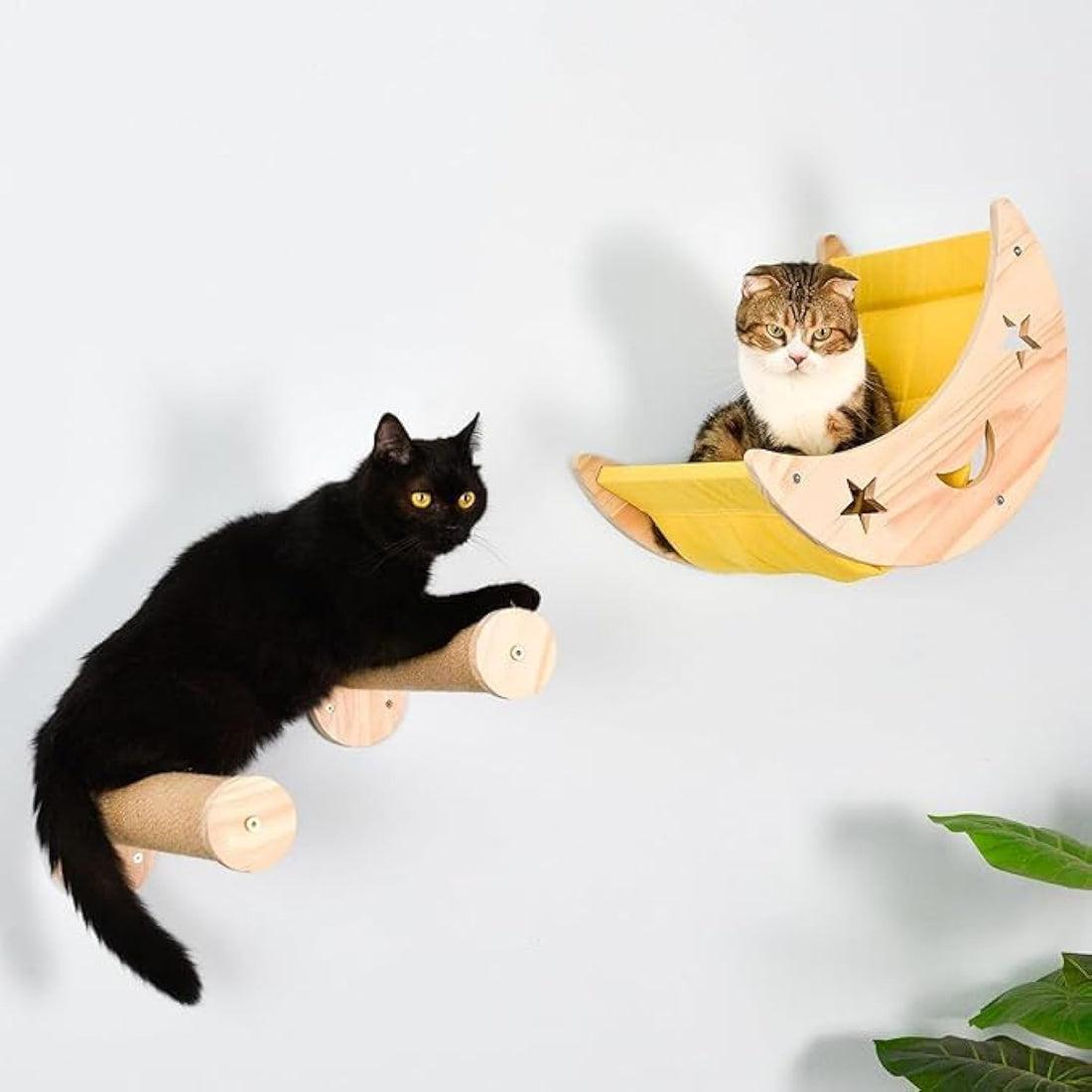 Wall Cat Bed Moon Hammock Wall Mounted Shelf with 2 Steps Climbing