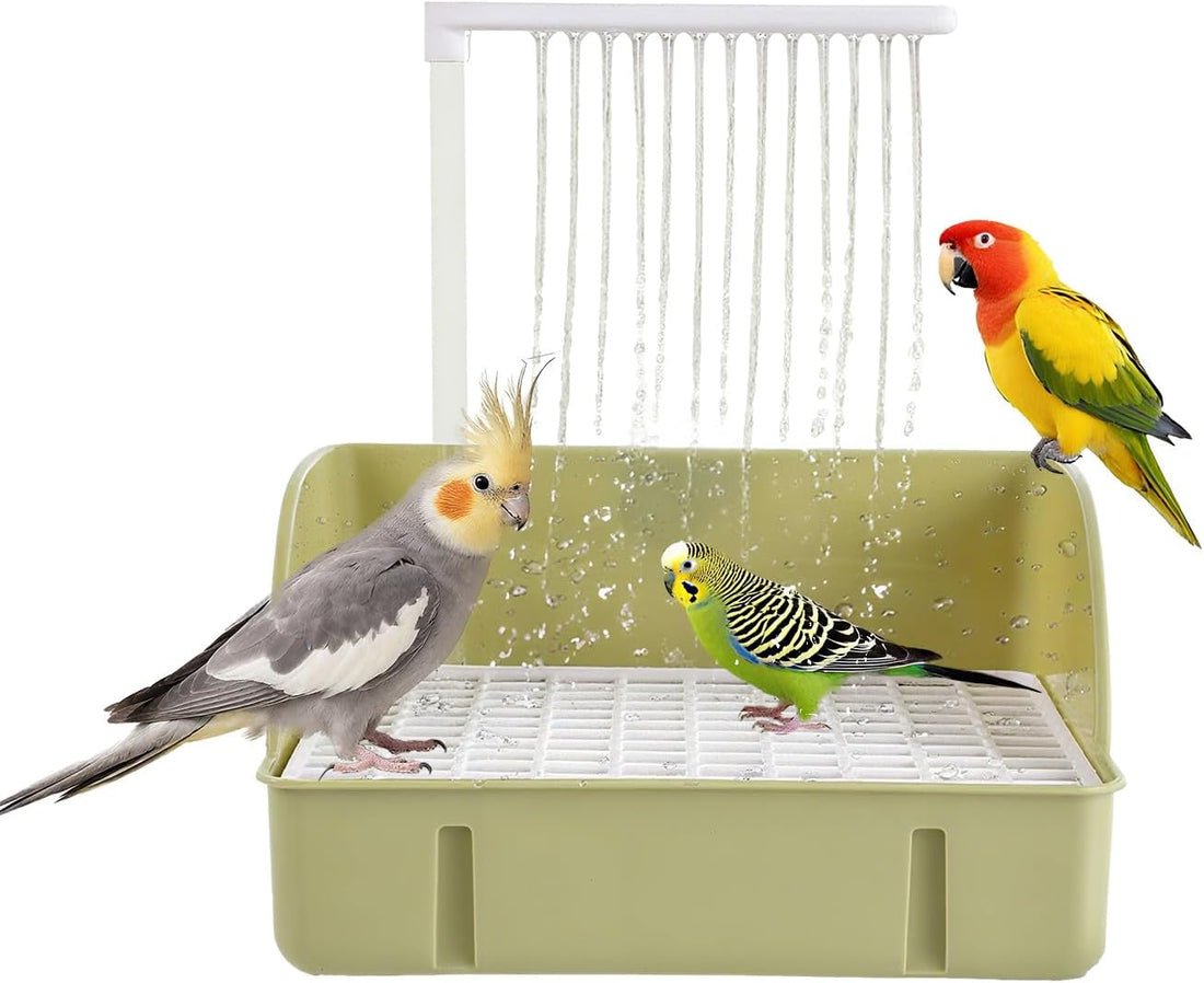 Bird Bath, Automatic Parrot Shower Bath