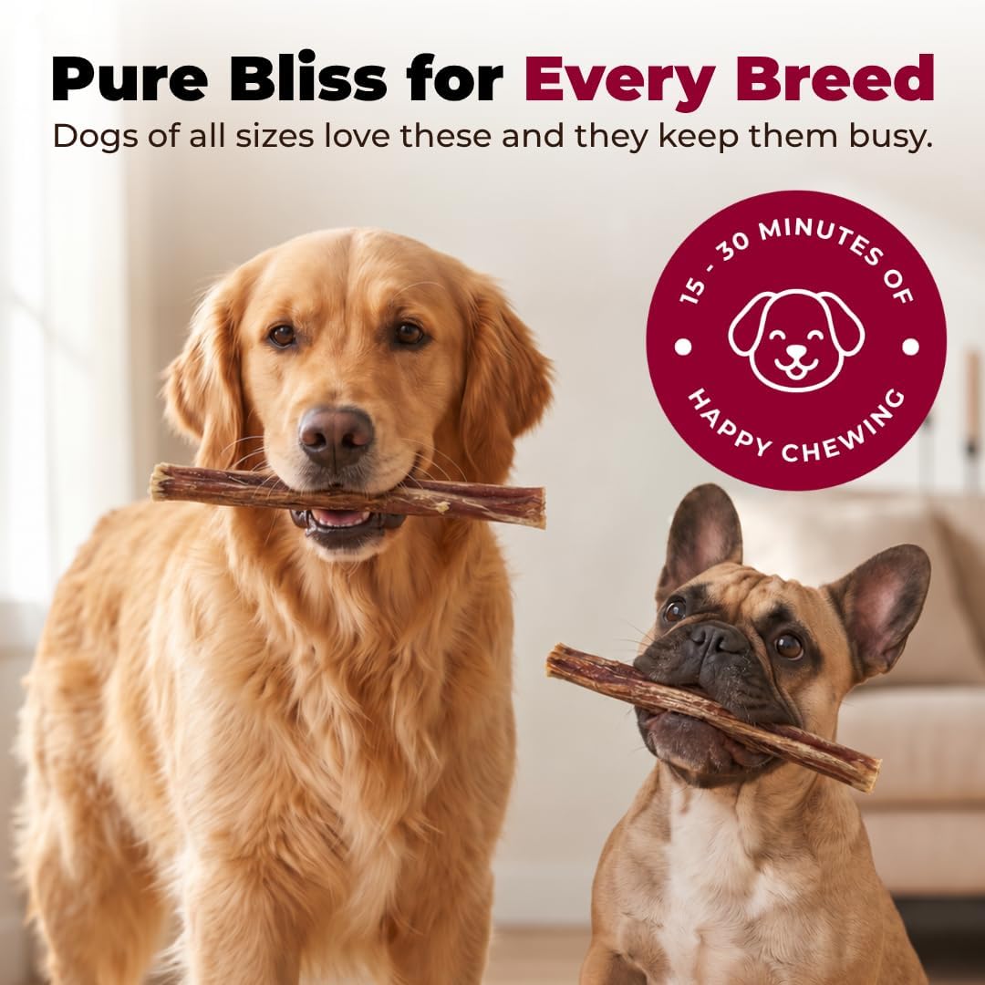GigaBite Bully Sticks for Dogs All Natural Beef Pizzle Dog Chews