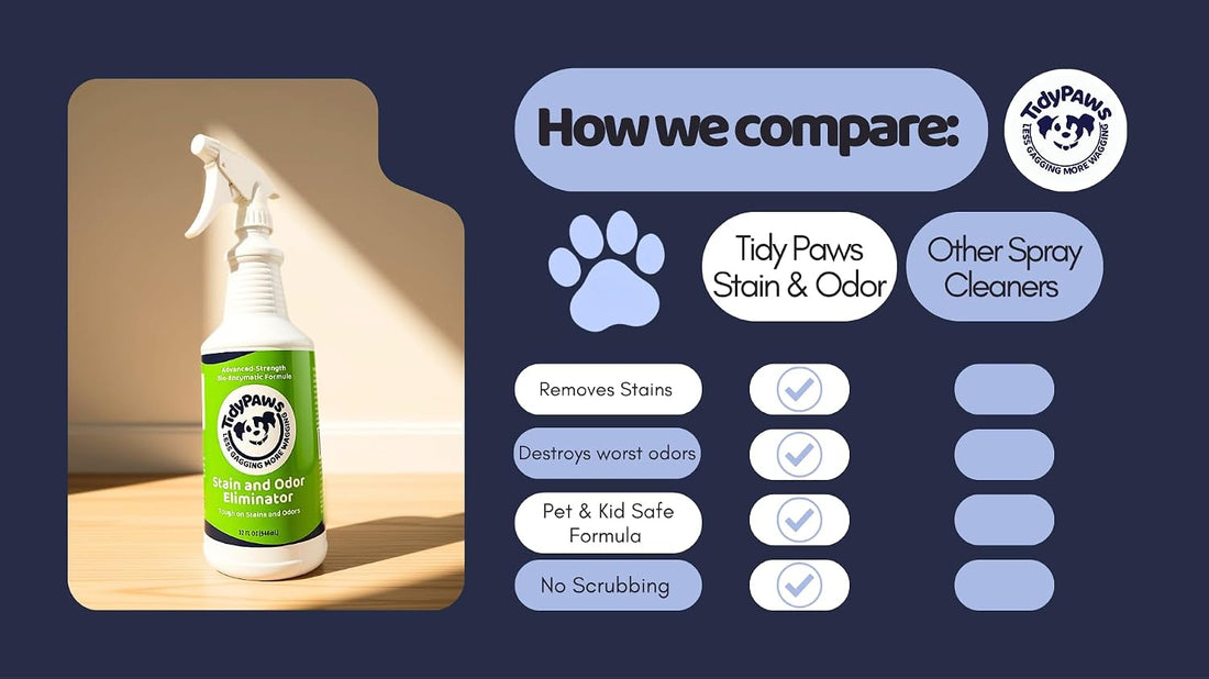 Pet Stain & Odor Eliminator Spray