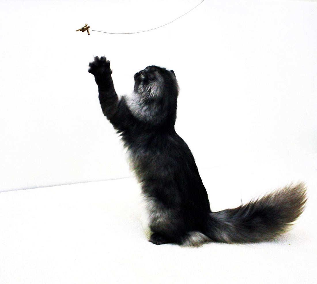 Cat Dancer 101 Cat Dancer Interactive Cat Toy, 3 Pack
