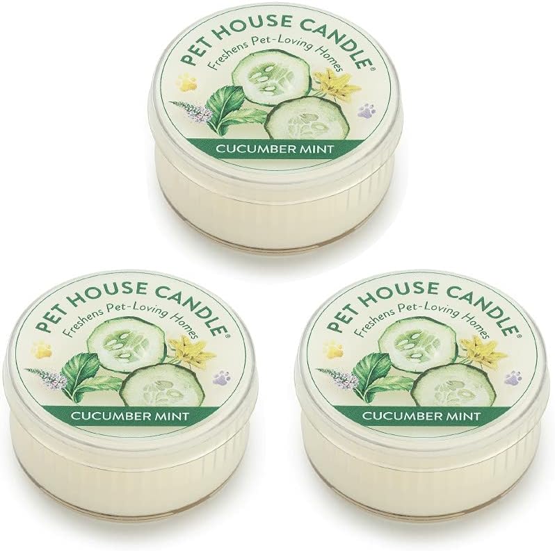 Evergreen Forest Mini Candles Plant-Based Wax, 3 Pack Pet House