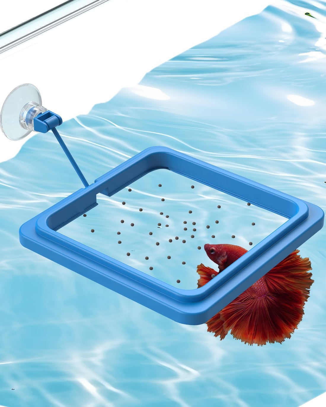 Pawfly Fish Feeding Ring for Aquarium, Feeding Ring with Suction Cup