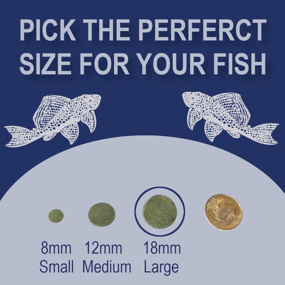 Large 18mm Algae Wafer - Algae Wafers for Bottom Feeders