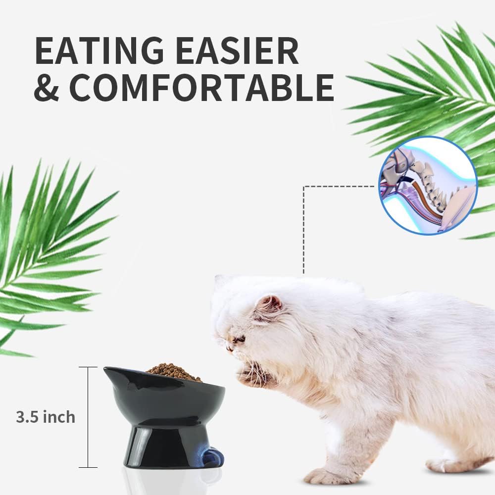 Nihow Slanted Elevated Cat Bowls