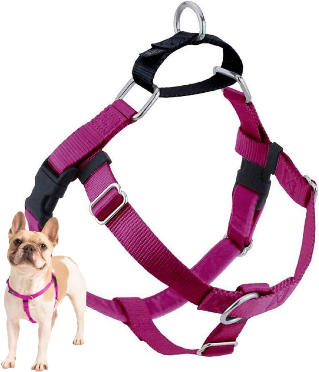 2 Hounds Design Freedom No Pull Dog Harness