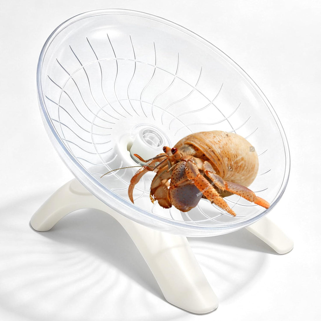 Hermit Crab Exercise Wheel, Silent Running Saucer for Small Pets