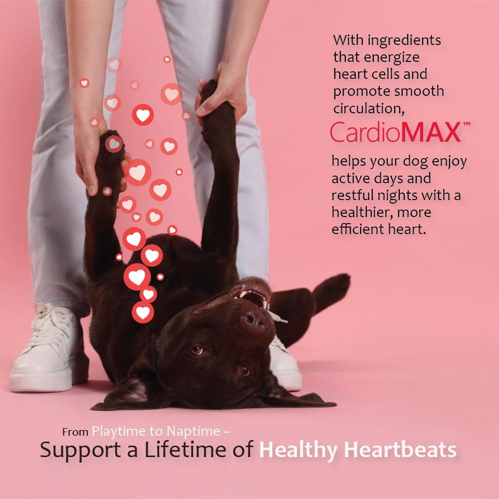 Heart Support Supplement for Dogs-Vet-Formulated
