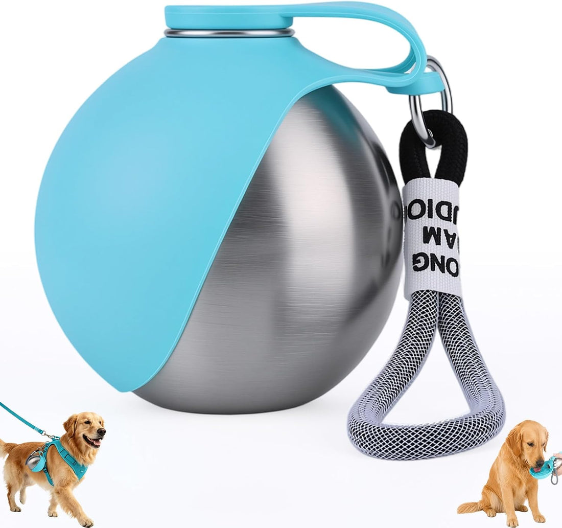 2 in 1 Portable Dog Water Bottle for Dogs,10oz Stainless Steel