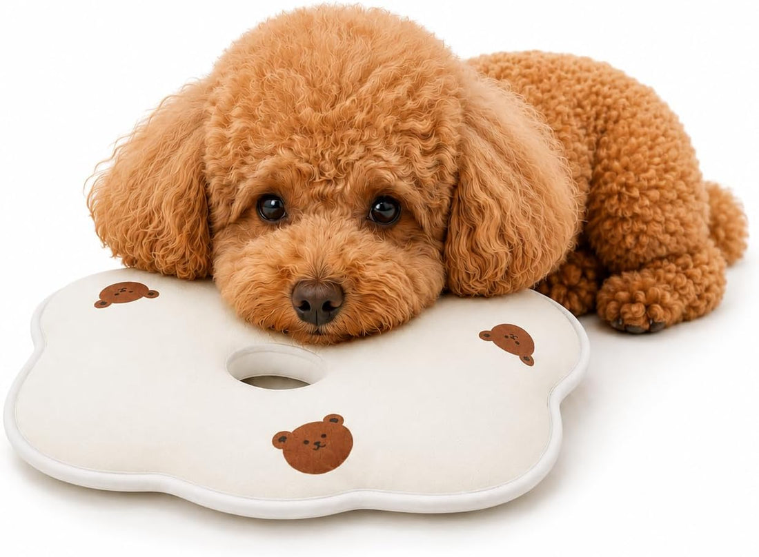 Soft Memory Foam Pet Pillow for Small Dogs and Puppies