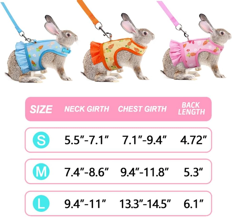 Guinea Pig Harness & Leash Set