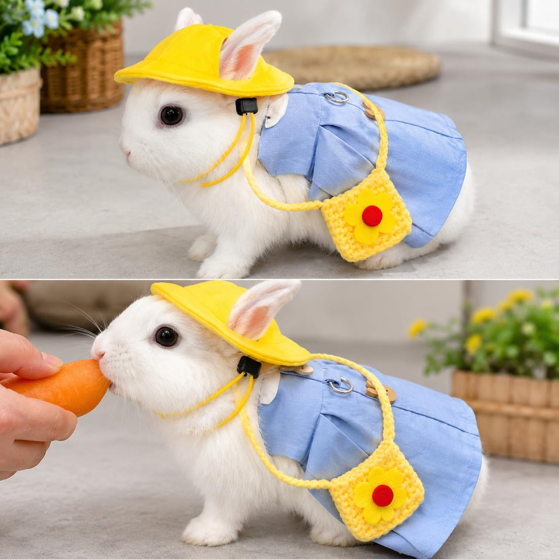 Bunny Outfit Harness Set with Leash, Cute Blue, L