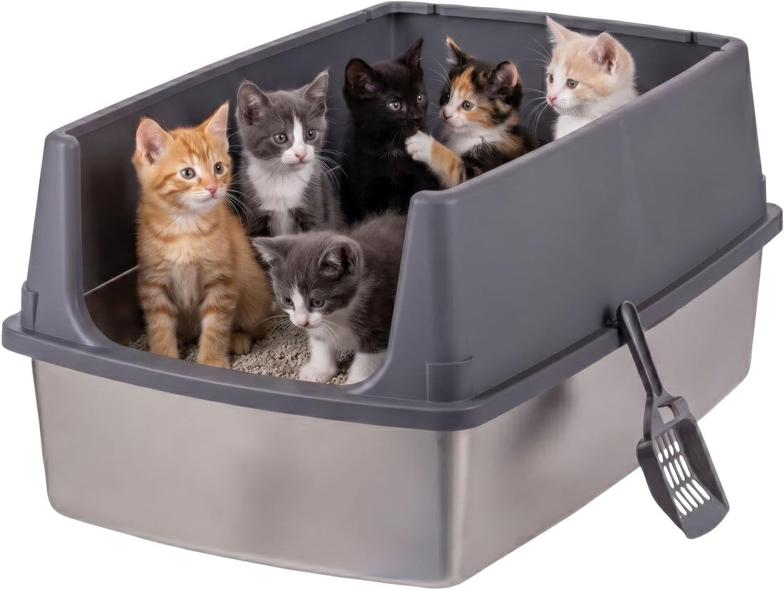 IRIS USA XX-Large High Sided Cat Litter Box, Scatter Shield