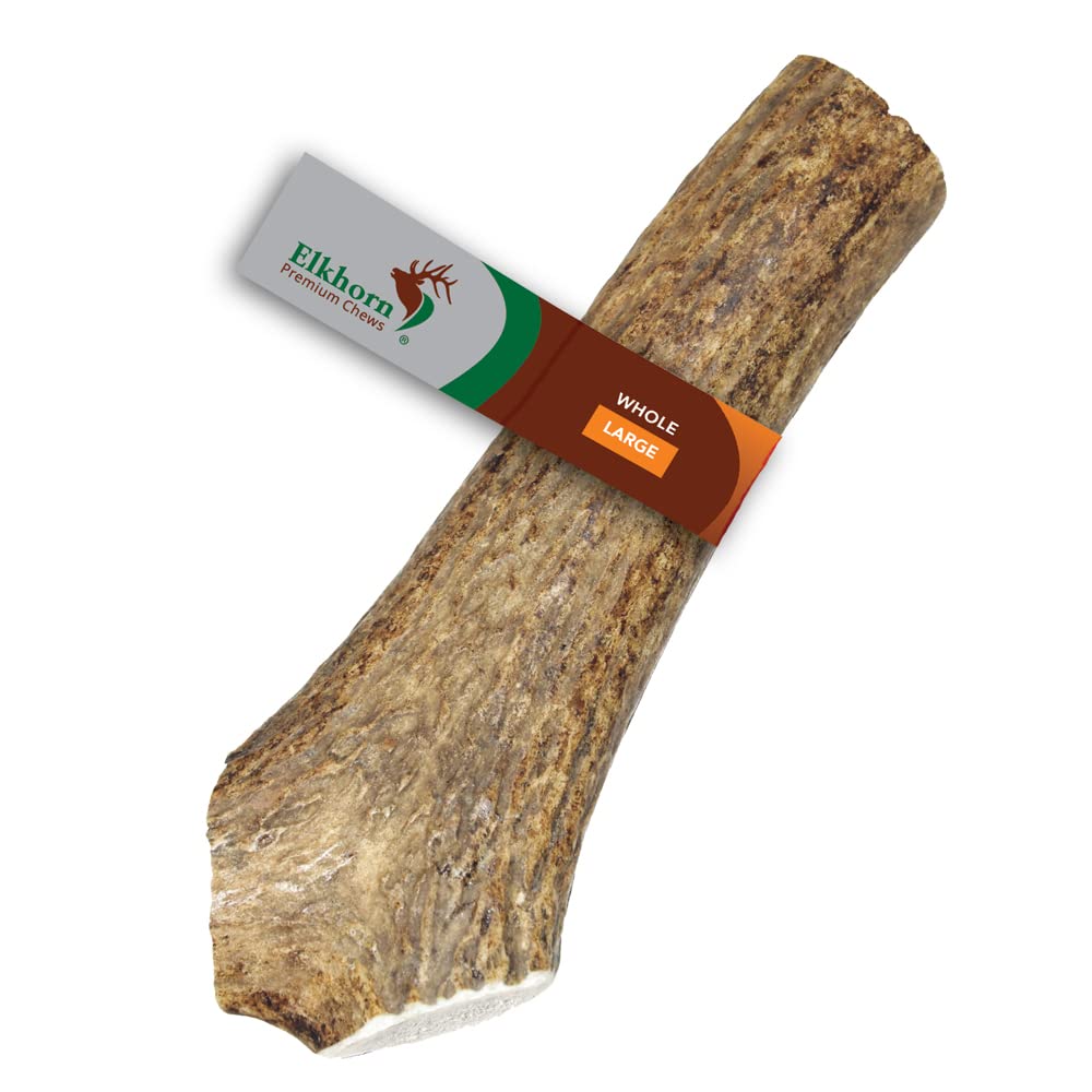 Elkhorn Premium Chews - Large Whole Single Pack Premium Grade Elk