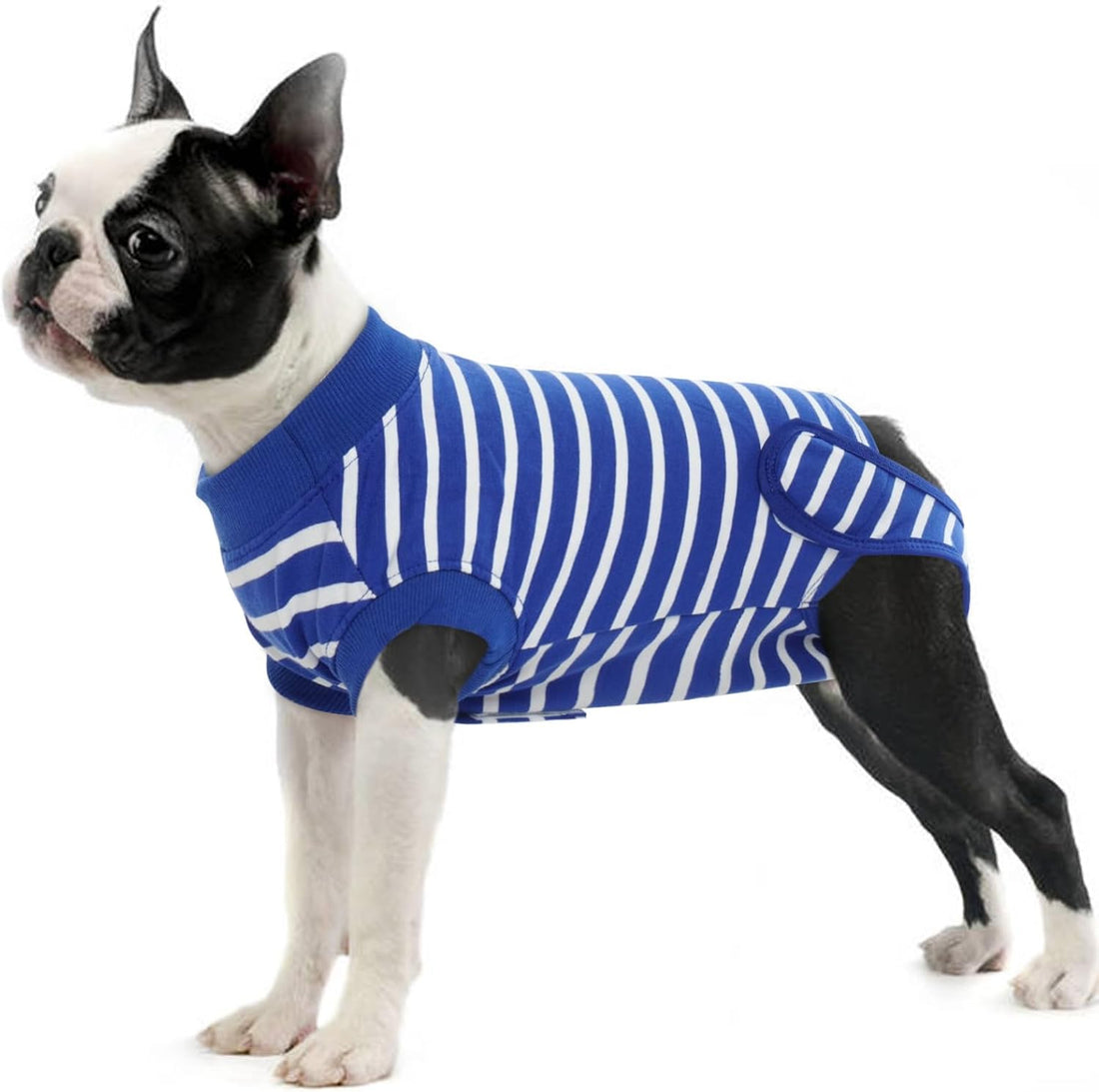IDOMIK Dog Recovery Suit for Neuter Spay,Anti-Licking Dog Surgical
