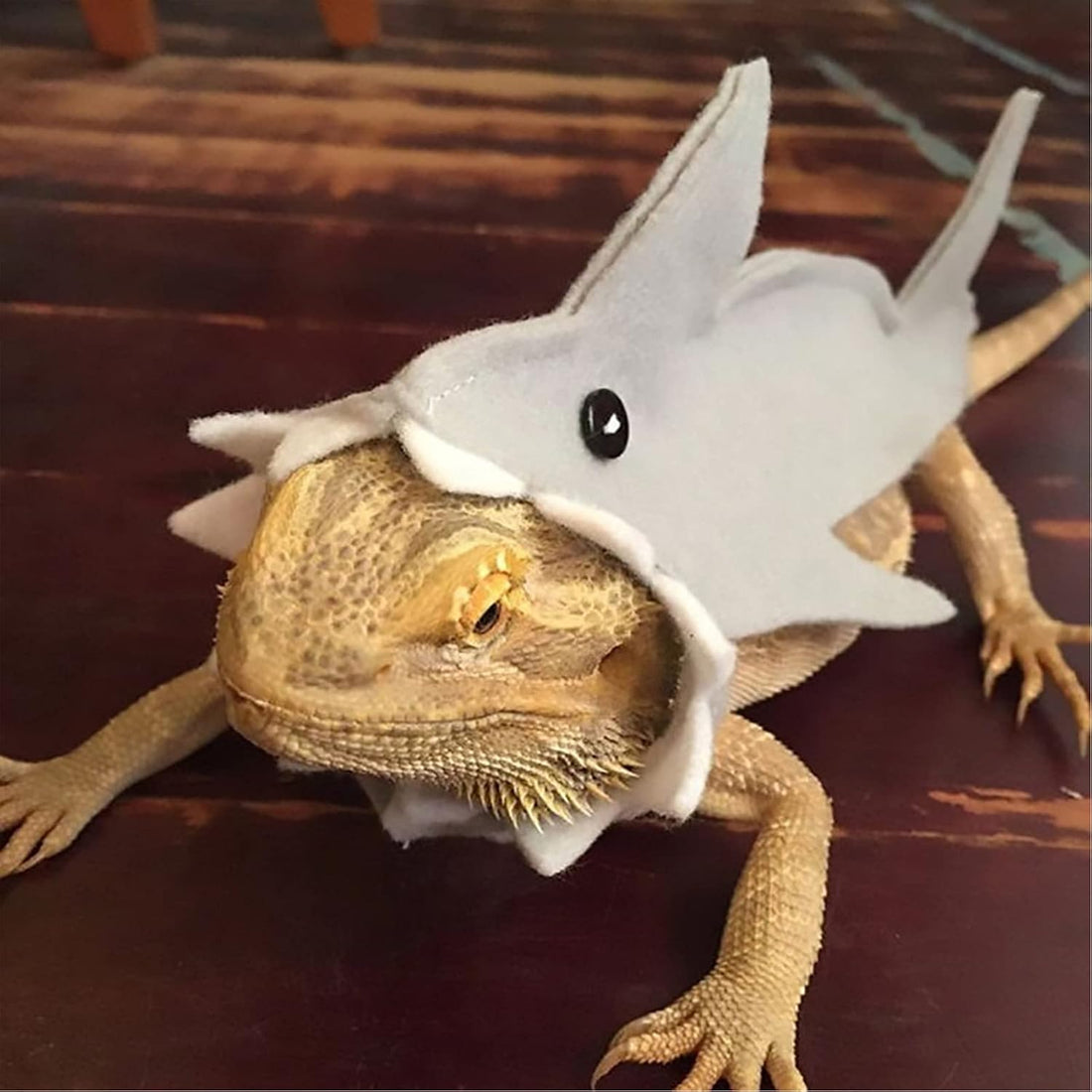 3 Pcs Shark Bearded Dragon Costume Felt Lizard Outfit Halloween Small