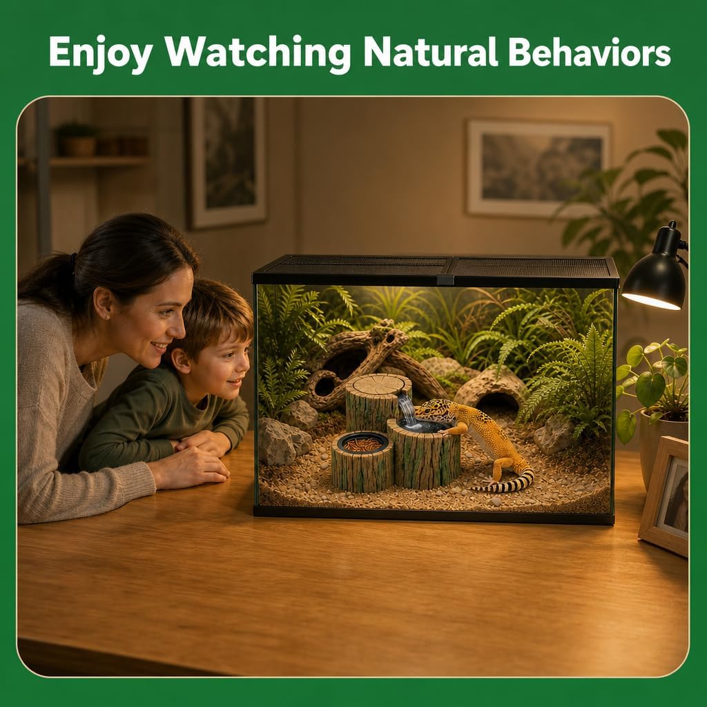 2 in 1 Reptile Water Fountain with Food Dish