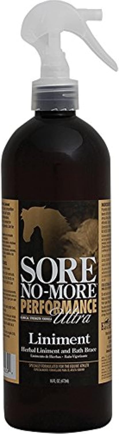 Arenus Sore No More Performance Ultra Liniment 16 oz
